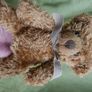 Vintage Teddy Bears Image 9