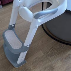 Toilet seat with Ladder