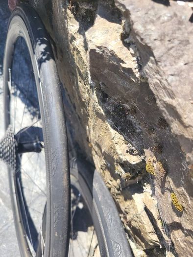 Orbea Orca m10iltd Dura Ace