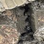 Digger Image 2