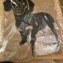 Dachshund/Sausage Dog Gift Package Image 2