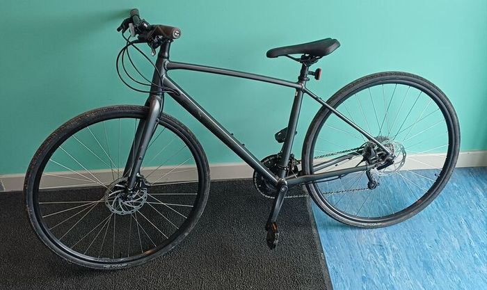 Trek FX2
