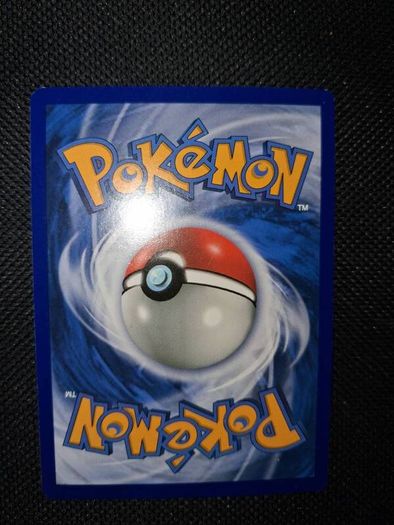 Pokemon Card : Shauna 111a