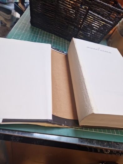 A Modern Herbal by Mrs. M. Grieve