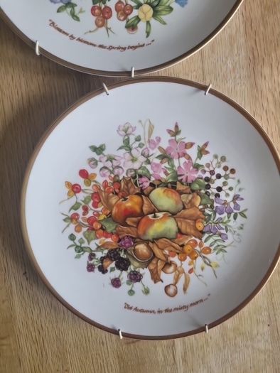 Set collector Designer  10" Sue Elizabeth Grimshaw"