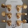 Epiphone Sg Image 3