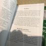 Drumboe martyrs book the story Image 9