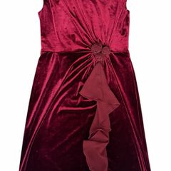 red velvet dress