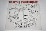 PJ Harvey The Hope Six Demolition Project