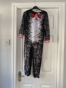 Cat in the hat costume