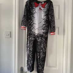 Cat in the hat costume