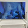 Fine Art Award Winning Wildlife Print Image 2