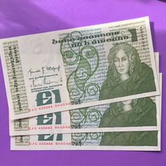 Irish one pound notes