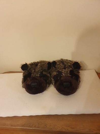Novelty Slippers