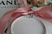 New pandora genuine moments bracelet