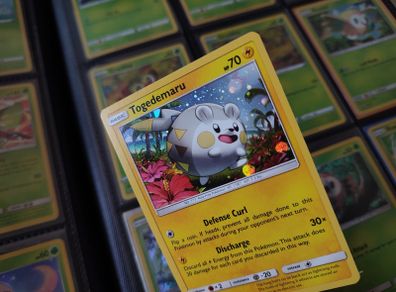 Togedemaru ! Promo ! Holo ! Sun & Moon Era ! 2017 ! Pokemon Card !