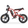 HIDOES B6 Electric Bike Image 5