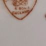 Lovely Old Bone China Hanging Plate. Image 6