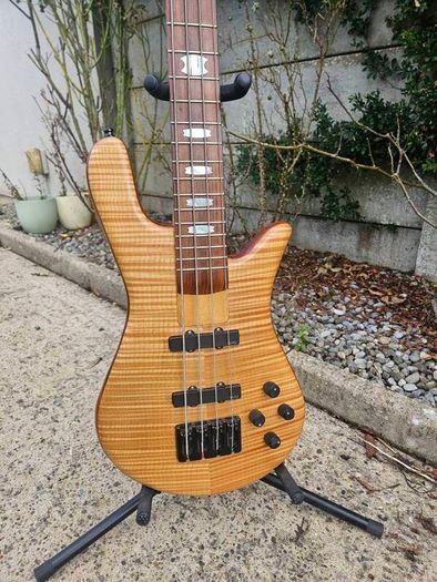 Spector Ns2j Woodstock For Sale in Blackwater, Wexford from wacojaco21