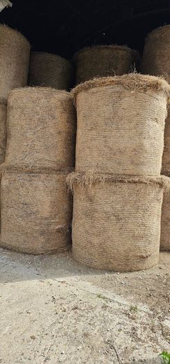Hay For Sale