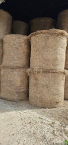 Hay For Sale