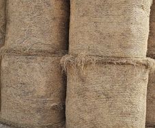 Hay For Sale