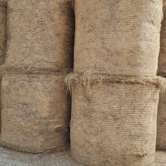 Hay For Sale