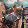 Small Dog Dress size S Image 5