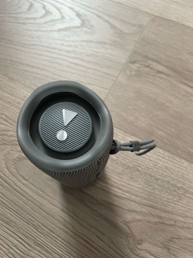 JBL flip 6