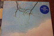 Daryl Hall - Dreamtime 12" - includes original free print