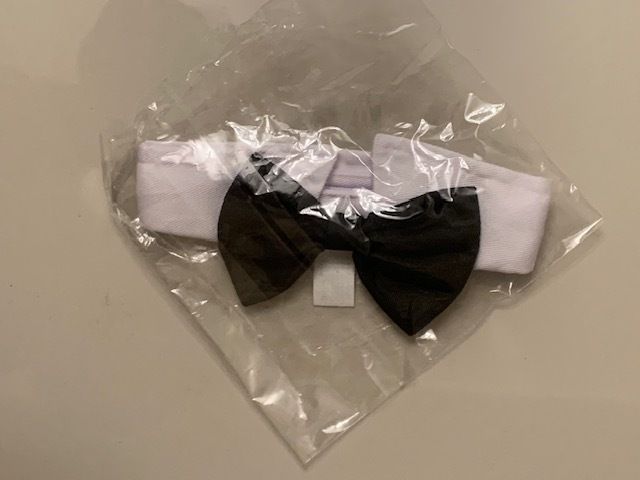 Halloween Costume