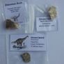 Dinosaur Fossils Image 4