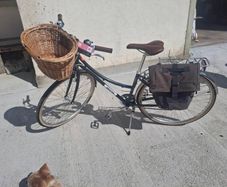 Ladies bike brand new