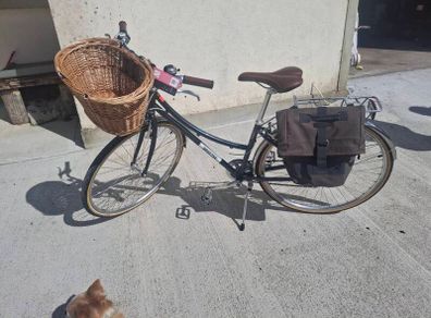 Ladies bike brand new