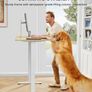 Electric Standing Desk Height Adjustable 120 x 60cm Sit Stand with 4 Memory Smart Pannel for Home Office Splice Board Image 8