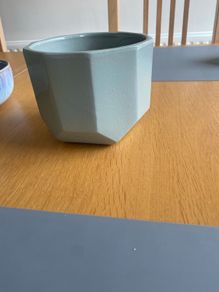 Plant pot
