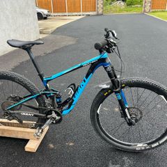 Giant Anthem Mountain Bike