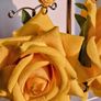 Realistic Yellow Extravagant Rose with Raffia Woven Stud Earrings Image 6