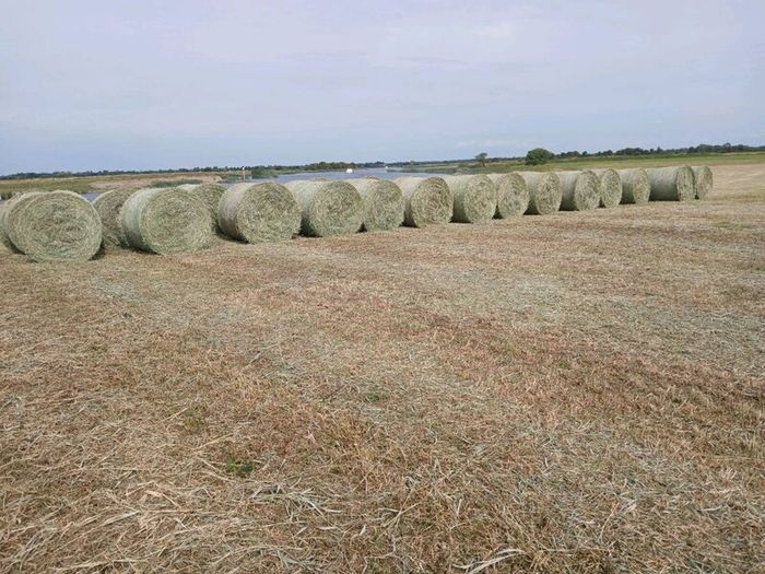 Hay Bales