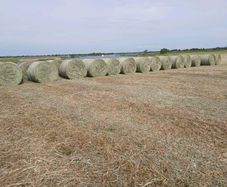 Hay Bales