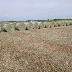 Hay Bales
