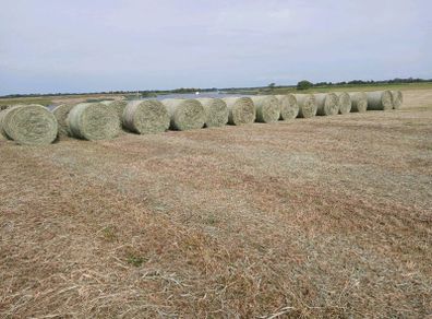 Hay Bales
