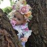 Reborns By Laura.  I Have Elf Fairy's In My Garden!!  Fairy  Elf's  Available For Adoption .  Reborn Doll.  Welcome To View Image 10