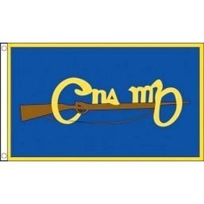 Cumann na mBan flag 3'x 5'