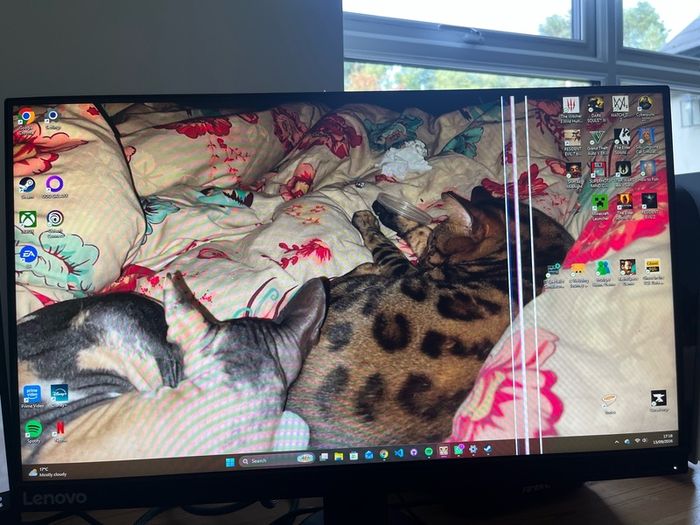 Lenovo g25-10