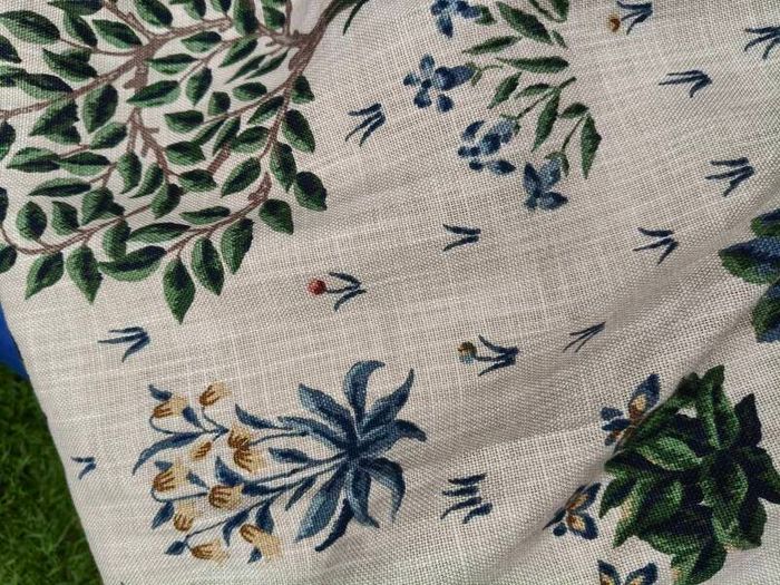 Sandersons/Morris Fabric