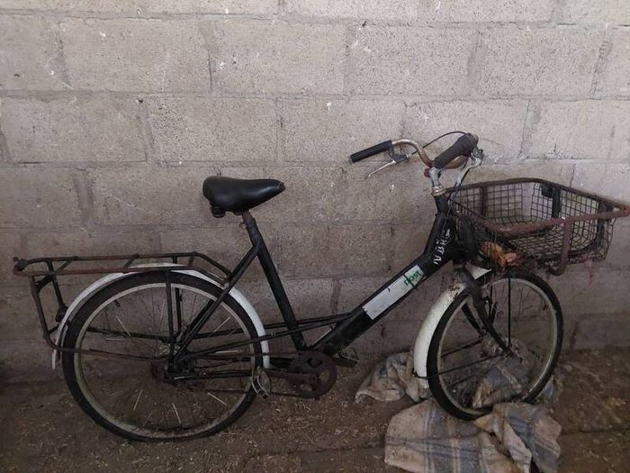 Pashley Pronto sturmey archer 3 speed x 4