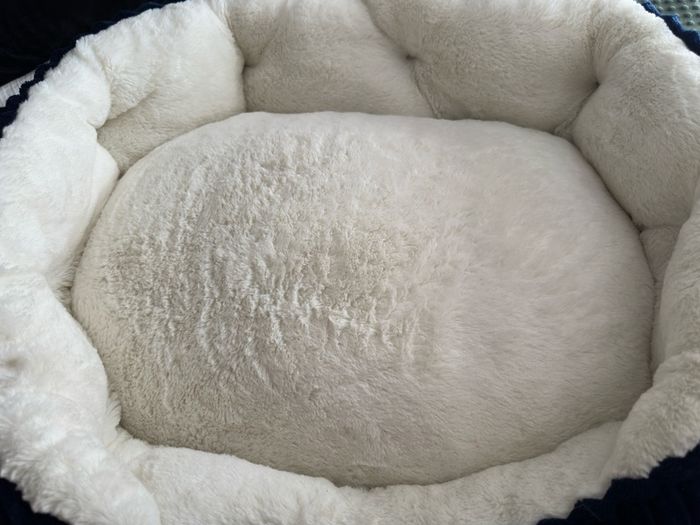 Dog Bed 60cm