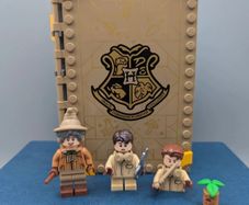 76384 LEGO Hogwarts Moment: Herbology Class