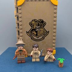 76384 LEGO Hogwarts Moment: Herbology Class